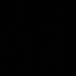 Meet your Posher, Larry